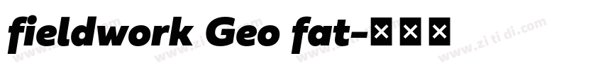 fieldwork Geo fat字体转换